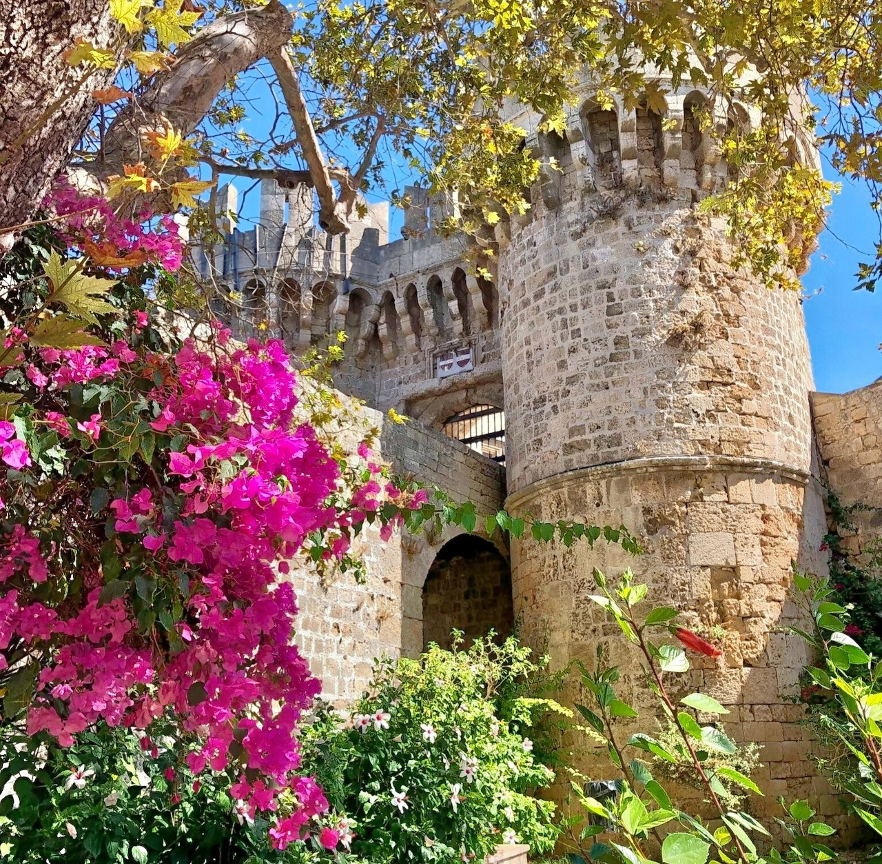 Medieval stone castle tower with pink flowering bougainvillea and green foliage in foreground