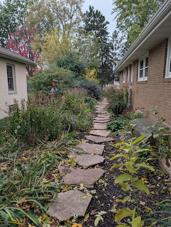 Stone path through a side yard garden between two houses with shrubs and trees
