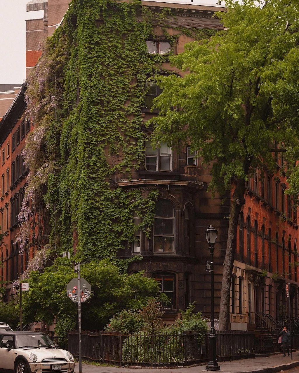 Corner building covered in green ivy with brick facades and a street lamp on a quiet urban street