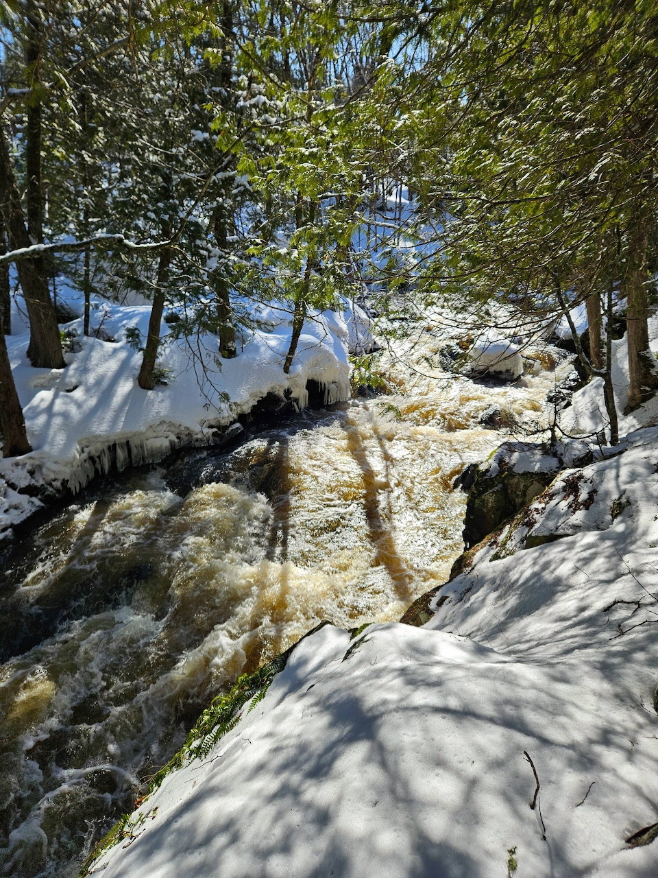 Waterfall cascading over brown rocks surrounded by snow and trees