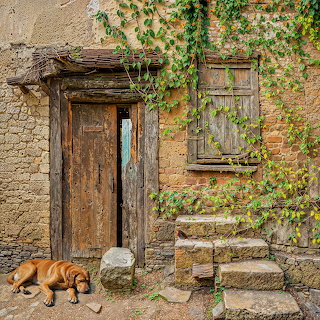 Rustic Stone House with Dog and Bird