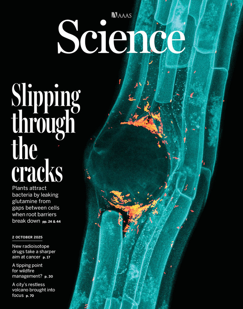Illustrated magazine cover with translucent blue plant cells and orange crack-like details
