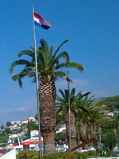 Palm trees and a Croatian flag above white buildings in a sunny coastal town
