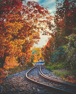 Curved railway tracks passing through colorful autumn trees