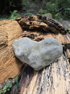 Gray heart-shaped stone placed on a weathered cut log with ferns in the background