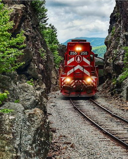 Red locomotive number 255 emerging through a narrow rock cut with steep cliffs and green trees