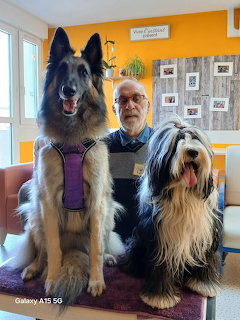 Man with German Shepherd and shaggy dog indoors