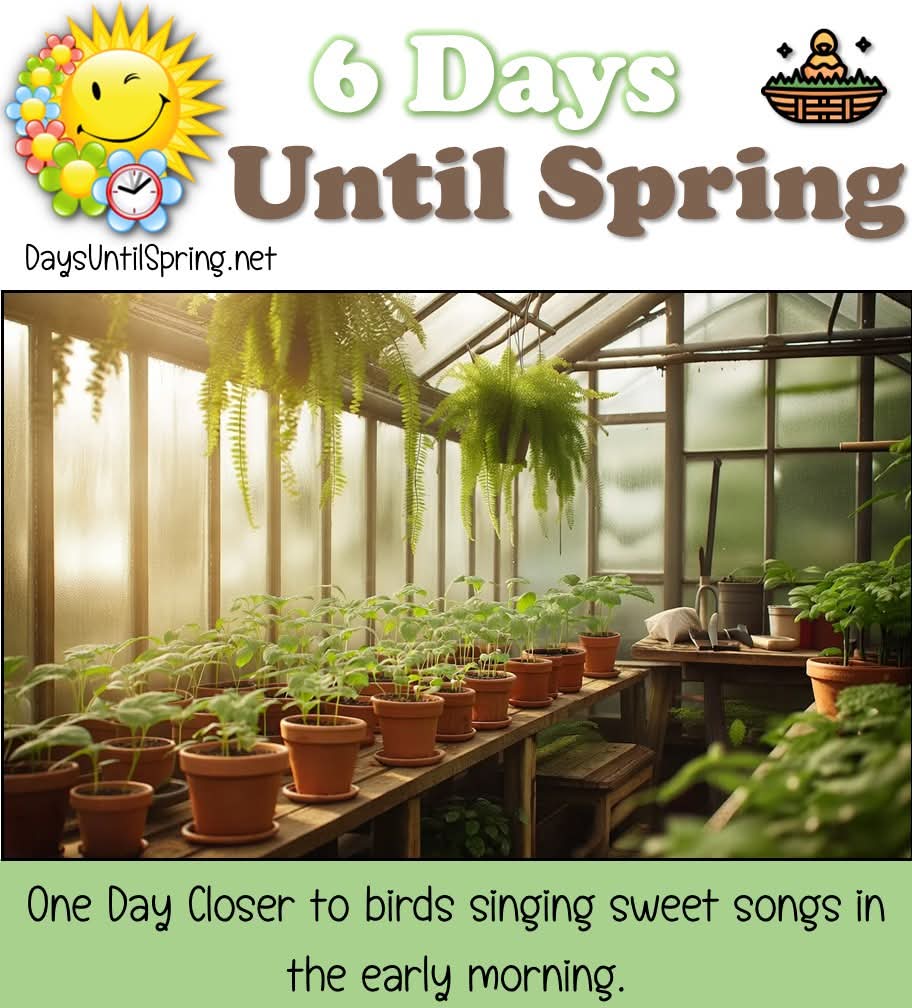 Greenhouse Plants in Spring