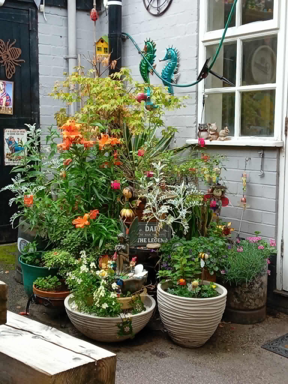Cluster of potted plants with orange and white flowers arranged outside a grey house with a window