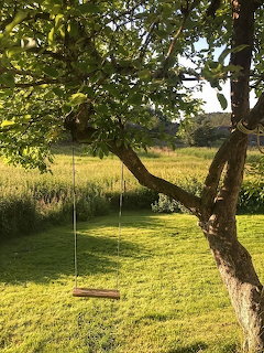 Wooden swing hanging from a tree branch in a green countryside garden with fields behind