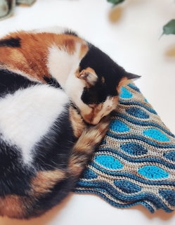 Calico cat curled up asleep on blue knitted blanket