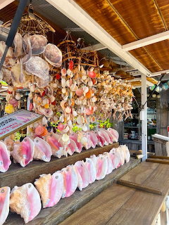 Pink conch shells and hanging seashells displayed at an outdoor market stall