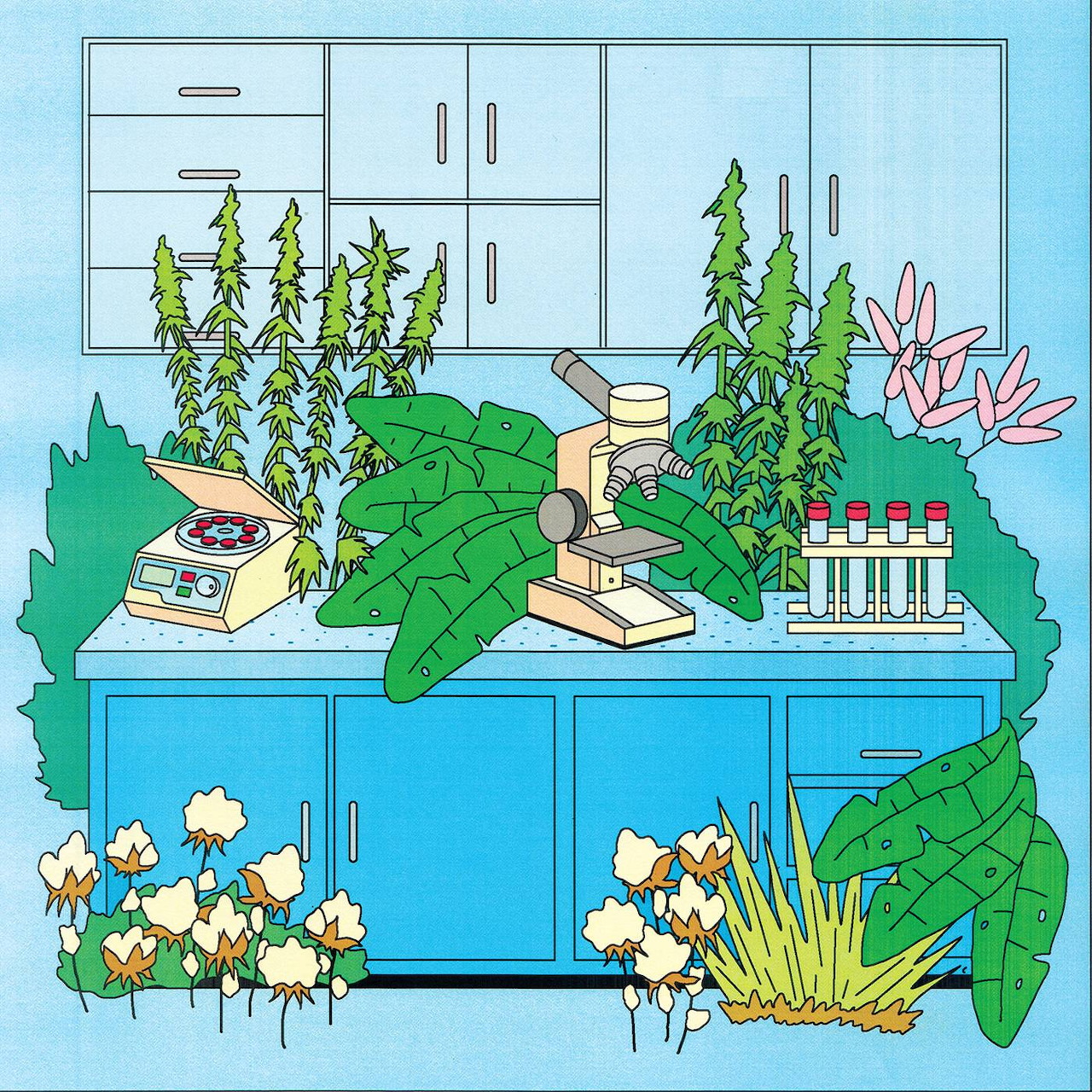 Illustration of a lab counter with plants, microscope, test tubes, and blue cabinets