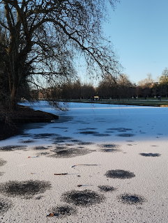 Frozen lake covered in snow and ice in a winter park with bare trees and blue sky