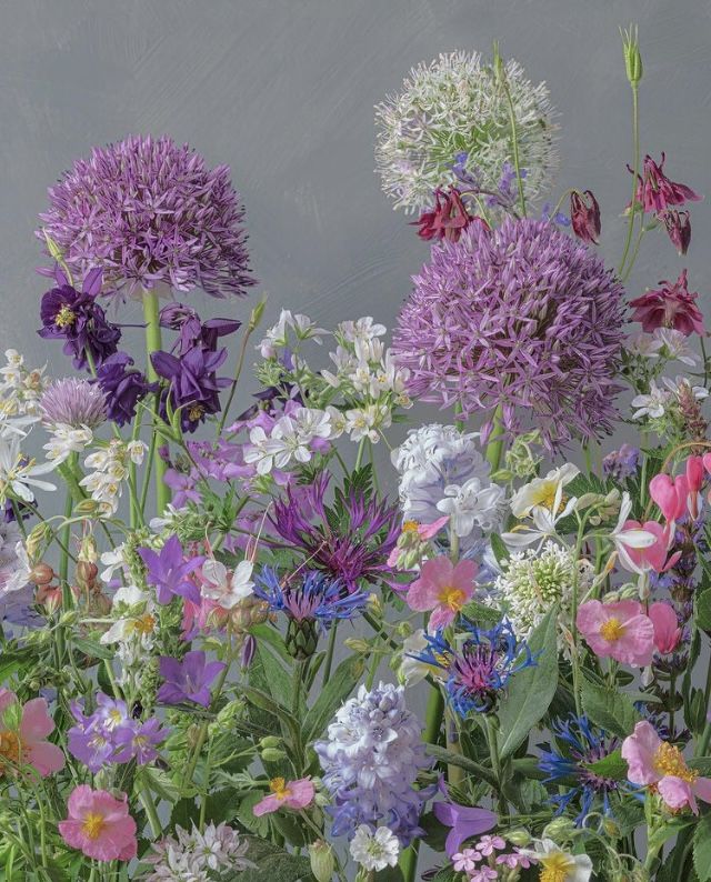Pastel bouquet of mixed purple, white, pink, and yellow flowers on a gray background