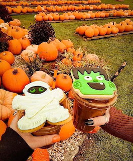Orange pumpkins in rows on grass with Halloween cookies and seasonal decorations in foreground