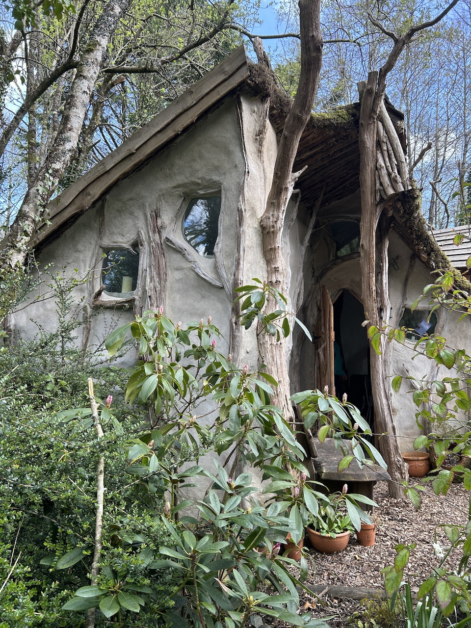 Abandoned cottage with damaged walls and overgrown plants in forest setting