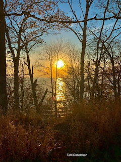 Golden sunset over water seen through bare trees and tall grasses