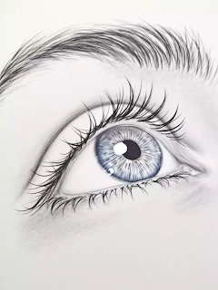 Detailed pencil drawing of a blue human eye with long eyelashes and eyebrow