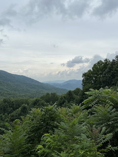 Forested mountain valley with lush green foliage and a cloudy sky