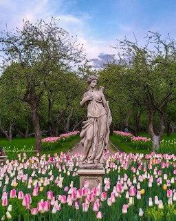 Classical statue of a woman in a garden surrounded by pink and white tulips and bloming trees