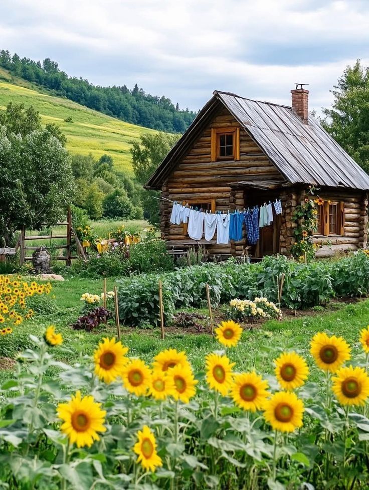 Rustic wooden cottage with a sunflower garden and green hills in the countryside
