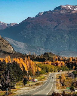 Road stretching toward mountains lined with golden autumn poplar trees in Patagonia
