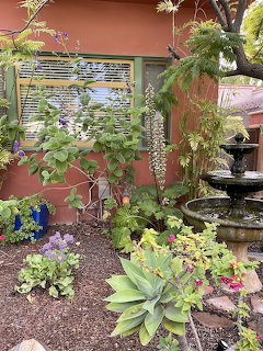 Colorful succulent garden with water fountain, various plants and flowers near terracotta building