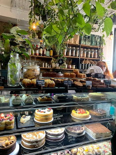 Café display case filled with cakes and pastries under hanging plants and wooden shelves