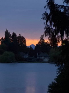 Lake at dusk with dark trees, sunset sky, and distant houses across the water