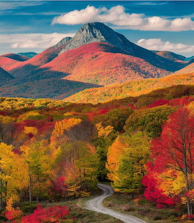 Colorful autumn foliage on rolling hills with a winding road leading toward a mountain peak