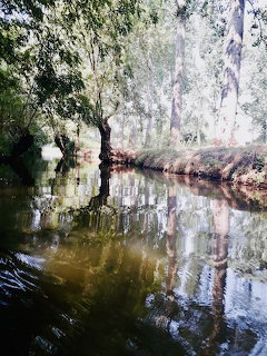 Sunlit tree-lined canal with calm water and reflections