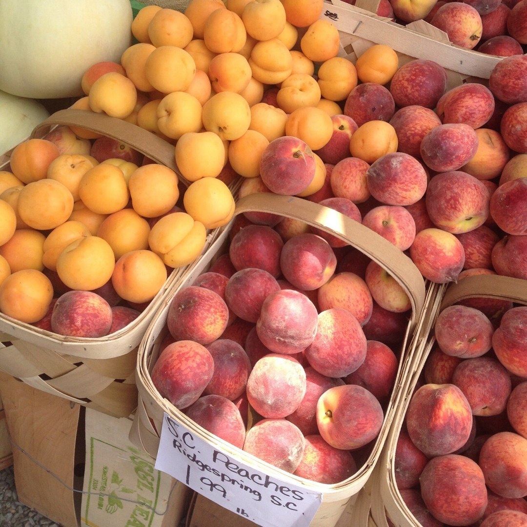 Baskets of apricots and peaches piled at a market stand