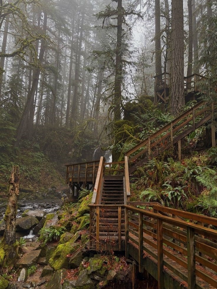 Wooden staircase and boardwalk through a foggy Pacific Northwest forest with mossy rocks and tall trees