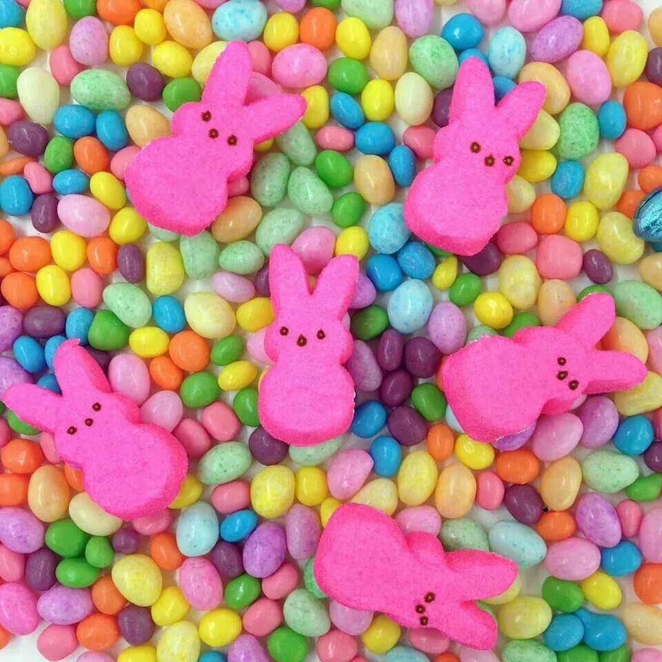 Pink marshmallow peep bunnies on a bed of colorful pastel jelly beans