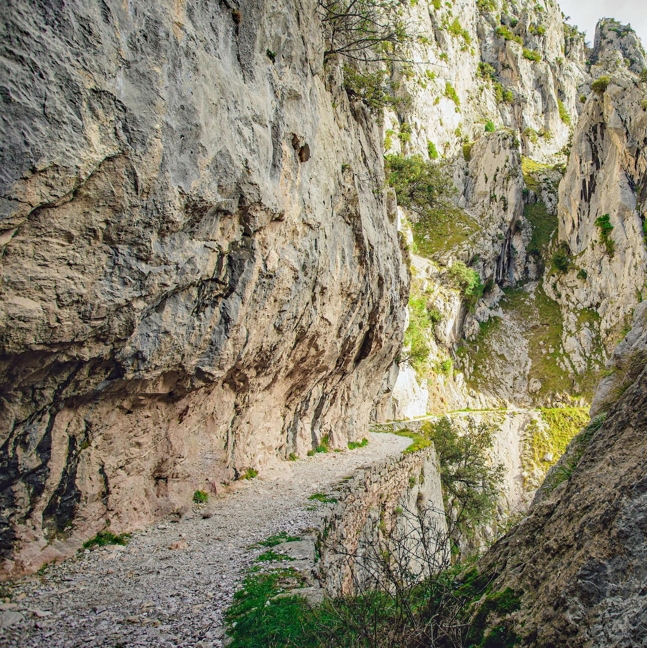 Mountain Trail Through Canyon