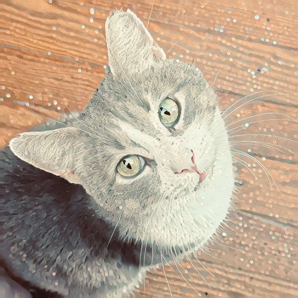 Gray tabby cat with green eyes looking up at camera on wood floor