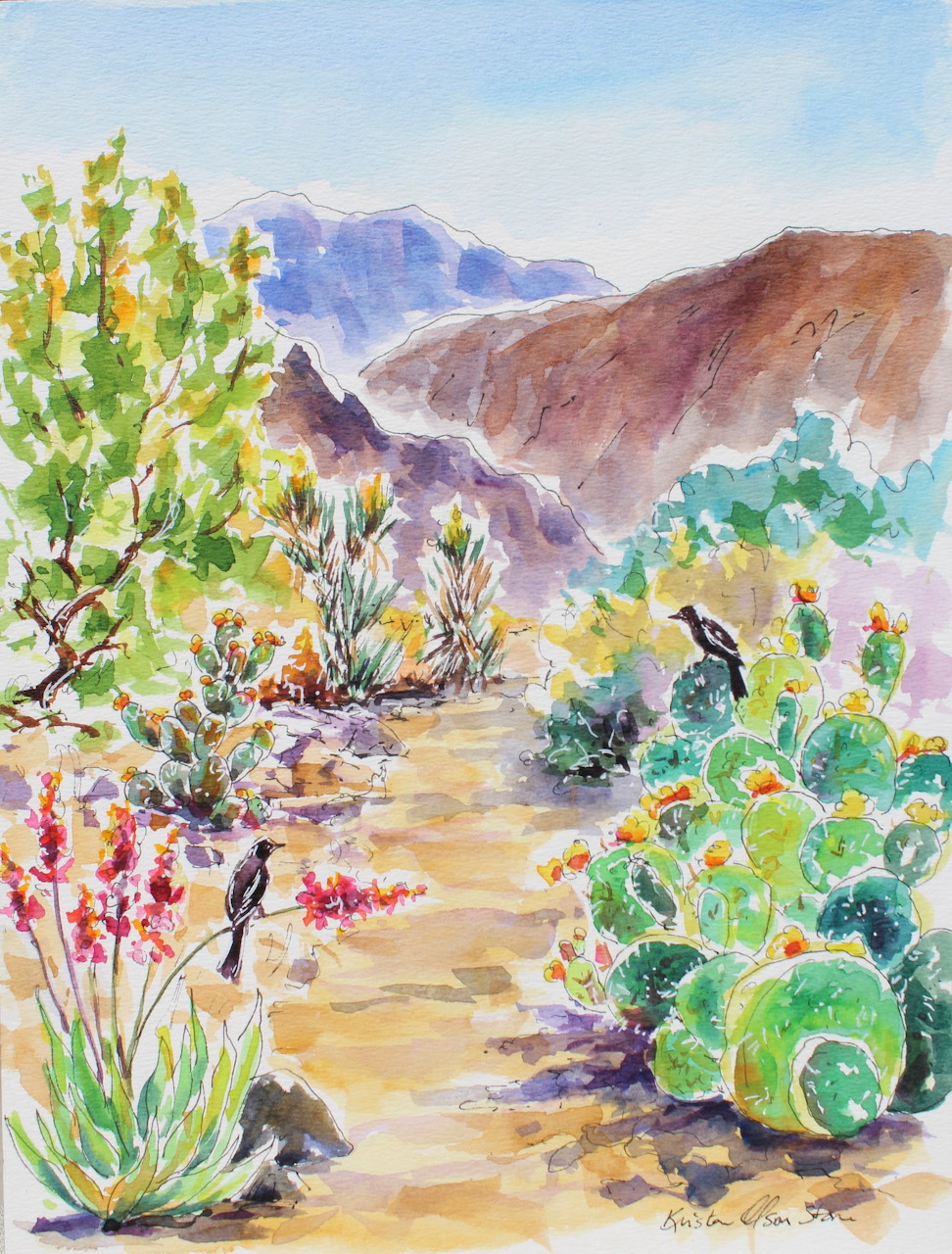 Palm Springs Desert