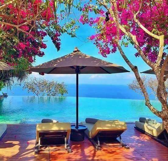 Lounge chairs under an umbrella beside a turquoise pool with ocean view and pink flowering trees