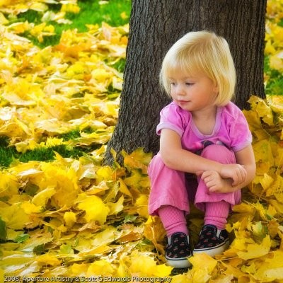 Young blonde toddler sitting in yellow autumn leaves leaning against a tree trunk