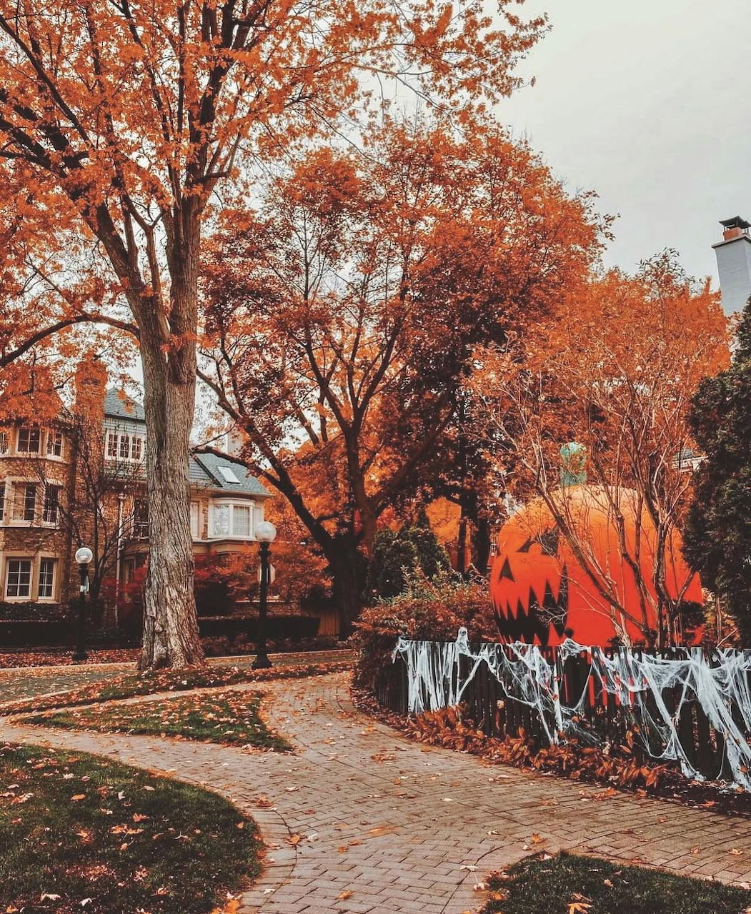 Curved path through an autumn garden with orange trees, a house, and a large pumpkin display