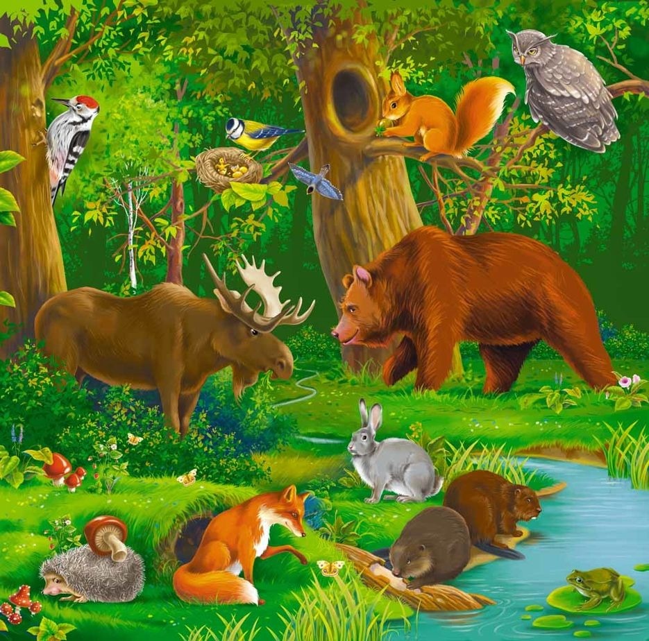 Illustrated forest scene with bear, moose, squirrel, owl, beaver, rabbit and various birds among trees and stream