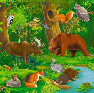 Forest Animals Illustration