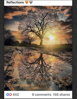 Bare tree silhouetted at sunset reflected in a puddle, with dramatic orange and golden sky