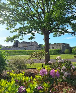 Stone castle ruins behind a garden with purple flowers and a tree