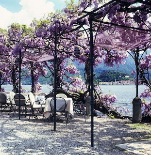 Lakeside Wisteria Terrace
