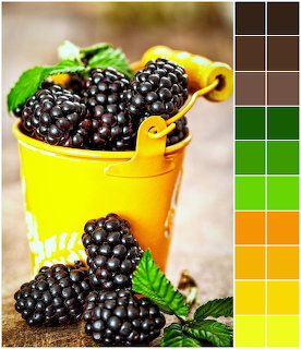 Fresh blackberries in a yellow metal bucket with green leaves on a wooden surface