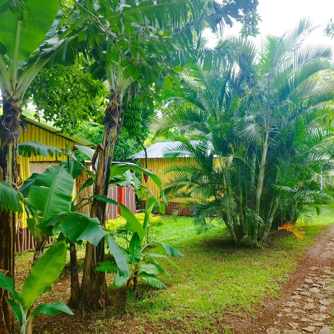 Tropical Cabins Garden