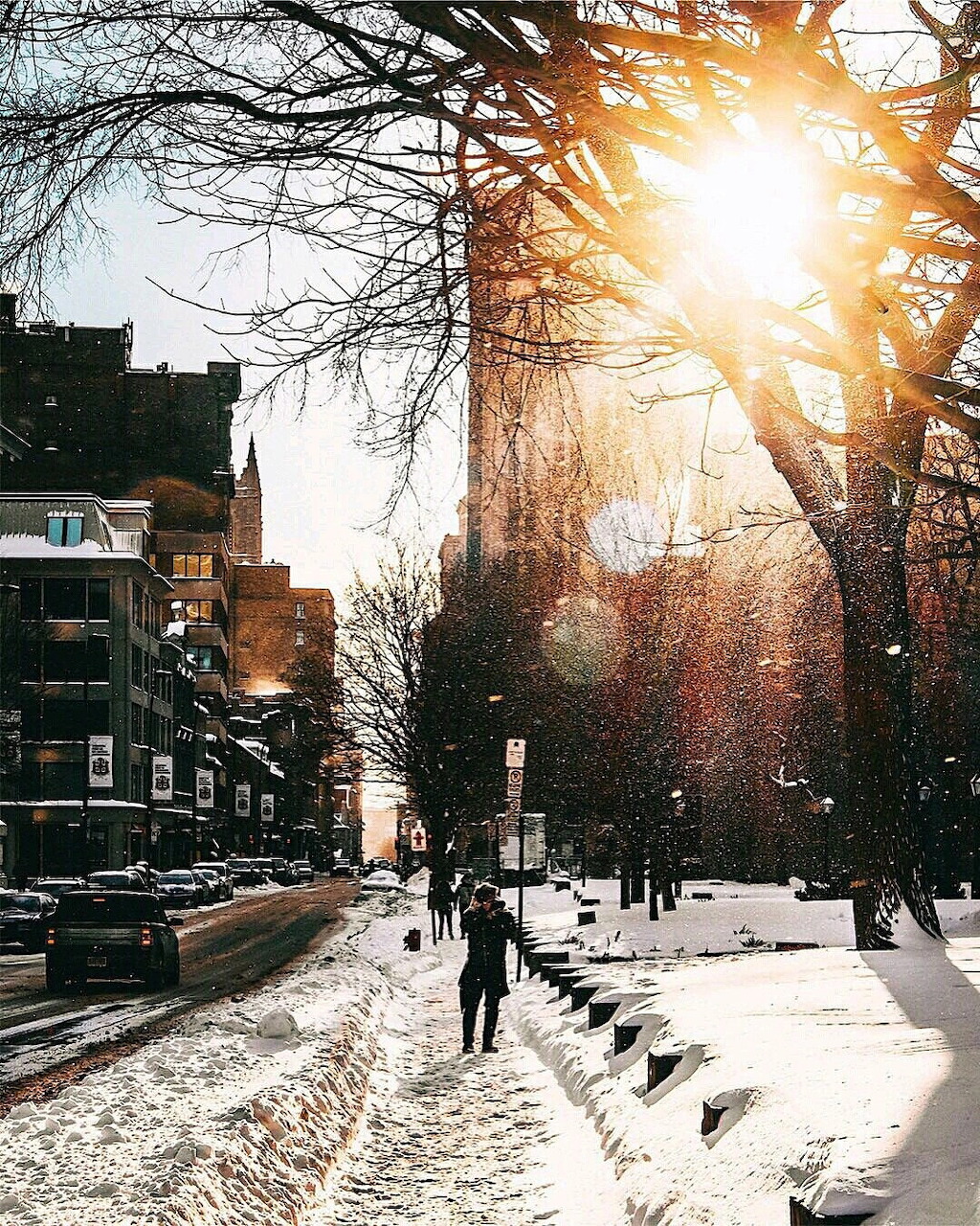 Snowy city street with bare trees, buildings, pedestrians, and bright winter sunlight