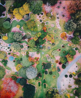 Overhead view of garden with circular beds, pathways, trees and colorful plantings in abstract pattern